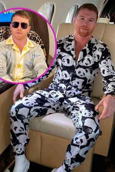 dolce and gabbana canelo shirt|canelo alvarez pajamas.